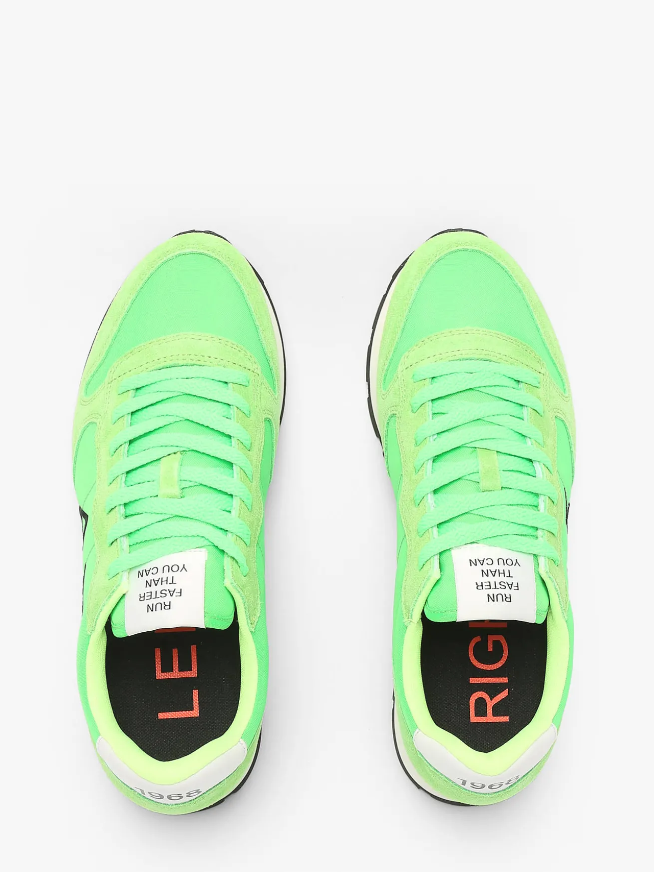 Sneakers Tom Solid SUN68